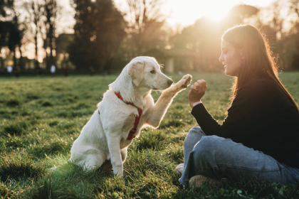 How to Learn More About Animals in Person