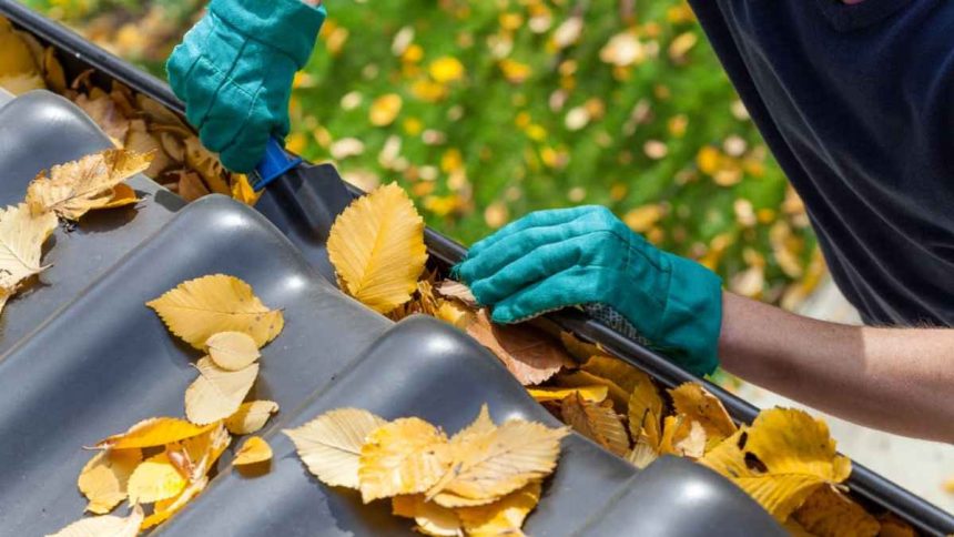 6 Home Maintenance and Repair Jobs to Do This Spring