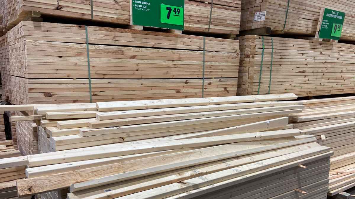 How To Prevent And Treat Lumber Decay A Practical Guide Readability