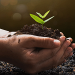 Navigating the Path to a Greener Future How Does Environment Development and Sustainability Go Hand in Hand?