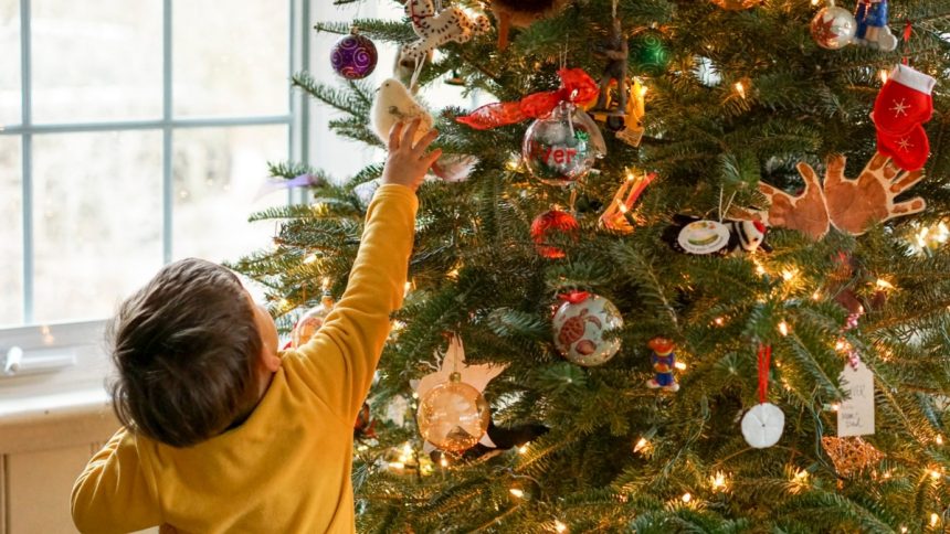 Which Christmas Tree (Real or Fake) is Eco-Friendlier?