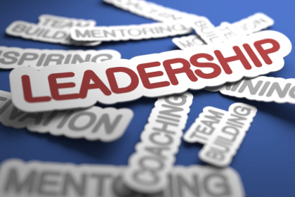 Leadership Development Strategies for Organizational Success