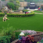 Creating a Pet-Friendly Garden That’s Low-Maintenance and Stylish