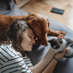Dog People vs Cat People in Ireland: What Your Pet Preference Says About You