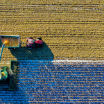 How Technology Is Shaping the Future of Agriculture and Plant Processing