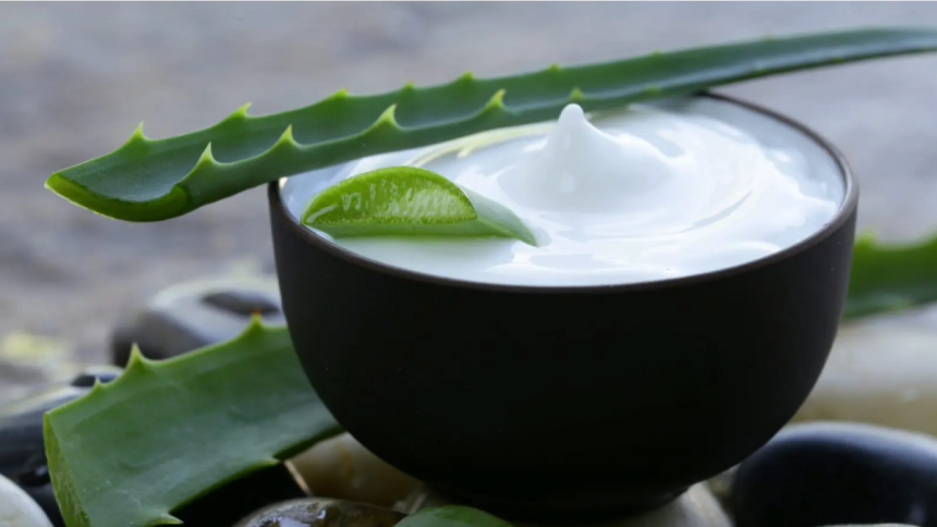 The Convenience of Aloe Vera Concentrate in Formulating Cosmetic Products