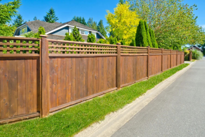 6 Merits Of Best Wood For Fence