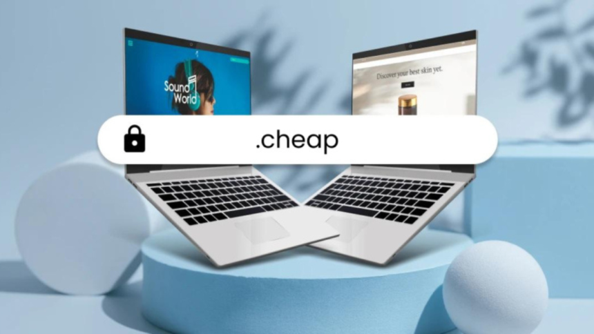 Cheap Domain Names - What's Behind the Low Price
