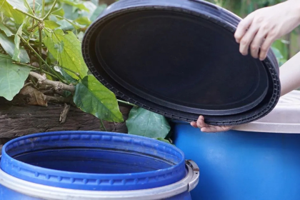 How Inspecting Your Yard Can Significantly Reduce Mosquito Problems at Home