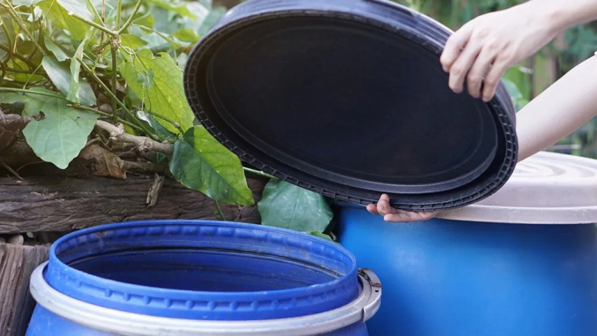How Inspecting Your Yard Can Significantly Reduce Mosquito Problems at Home