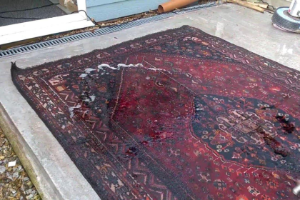 How to Salvage Water-Damaged Rugs After a Home Emergency
