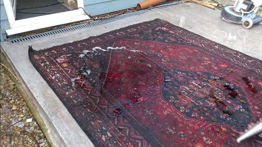 How to Salvage Water-Damaged Rugs After a Home Emergency