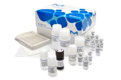 Top 10 U.S ELISA Kit Suppliers (Ranked)