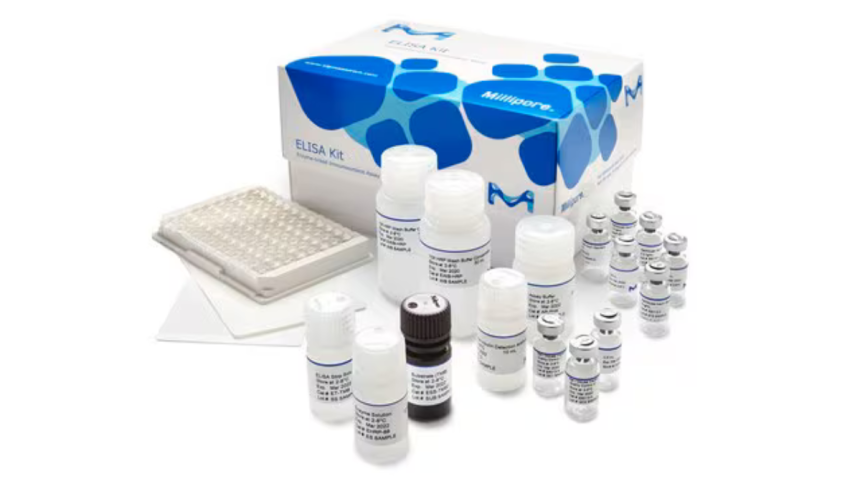 Top 10 U.S ELISA Kit Suppliers (Ranked)