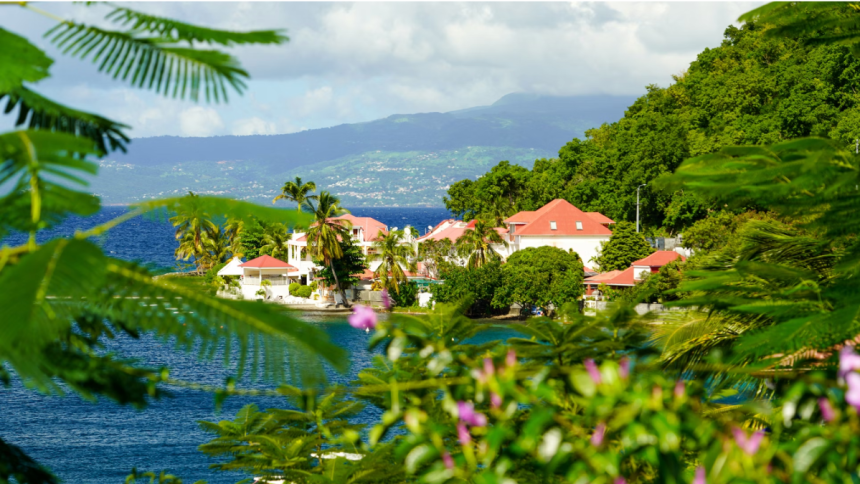 Top Tips for First-Time Travelers to Guadeloupe