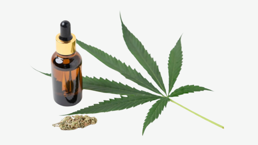 Who Should Not Take Hemp?