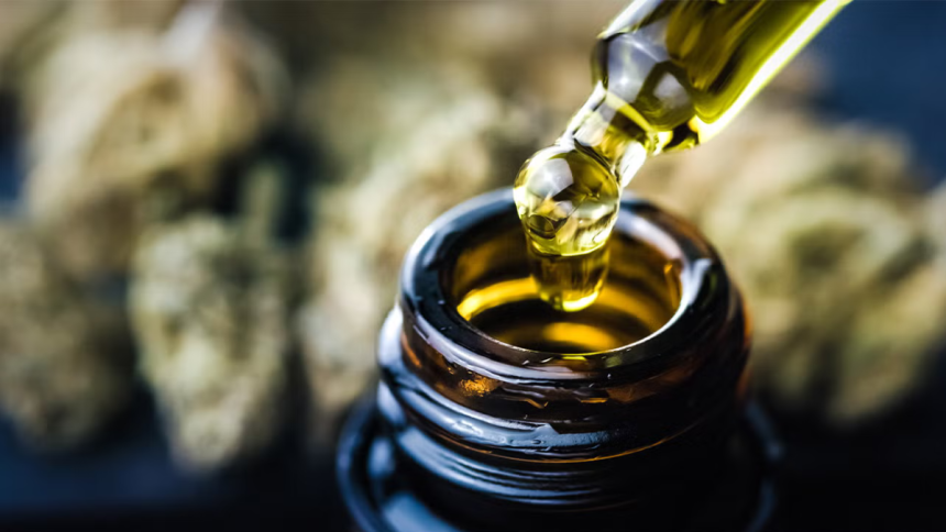 Why More People Are Turning to CBG Oil for Natural Pain Management