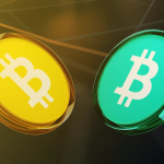 Bitcoin vs. Bitcoin Cash Two Versions of the Same Coin