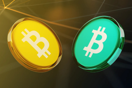 Bitcoin vs. Bitcoin Cash Two Versions of the Same Coin