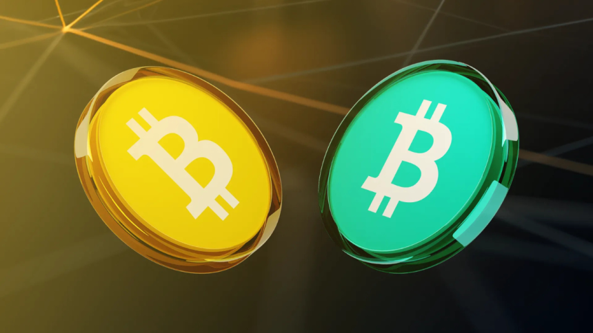 Bitcoin vs. Bitcoin Cash Two Versions of the Same Coin