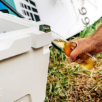 Everything You Need to Know About Injection Molded Coolers