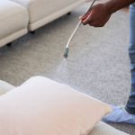 How to Professionally Clean Your Couch (Without Going Crazy)