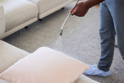 How to Professionally Clean Your Couch (Without Going Crazy)