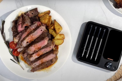 How to Use a Meat Thermometer Properly?