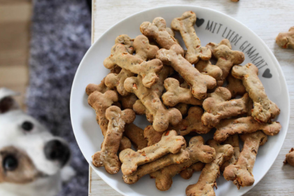 Kangaroo Dog Treats Still Australia's Greatest Secret