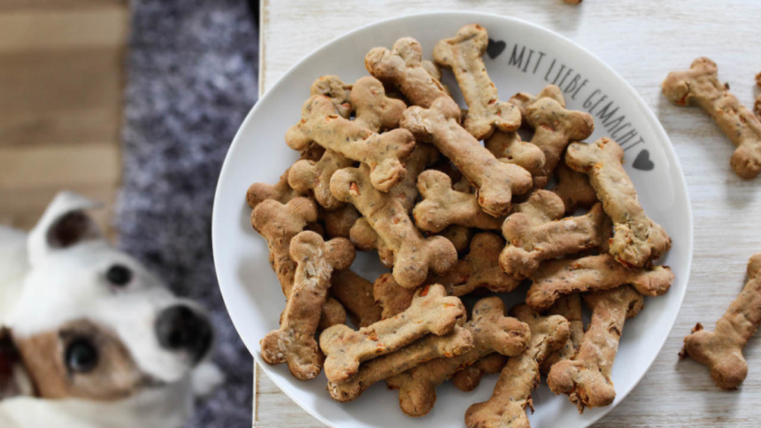 Kangaroo Dog Treats Still Australia's Greatest Secret