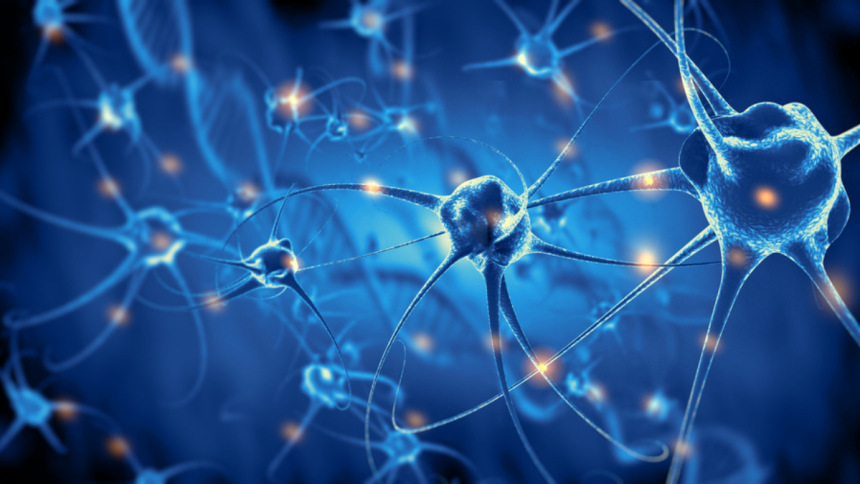 Unlocking Neuropathic Recovery Breakthrough Techniques in Regenerative Medicine
