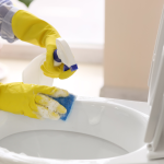 Toilet bowl cleaner comparison