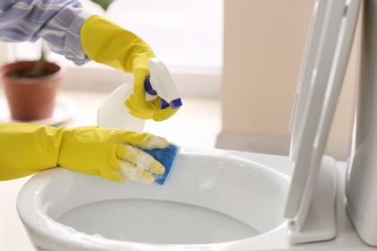 Toilet bowl cleaner comparison