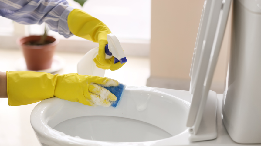 Toilet bowl cleaner comparison