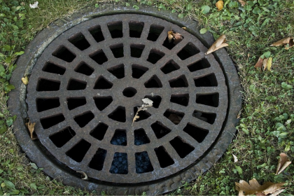 4 Expert Reasons Why Drain Renewal is a Good Idea