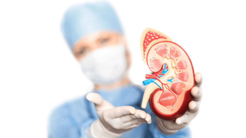 Best hospitals for kidney transplant in India