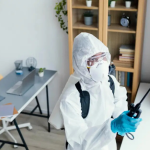Effective Strategies for Preventing Common Household Pests
