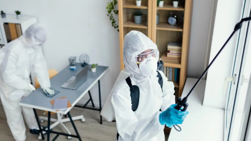 Effective Strategies for Preventing Common Household Pests