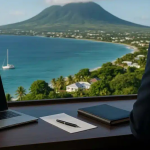 Nevis LLCs Offshore Strategy with Teeth, Not Just a Shell