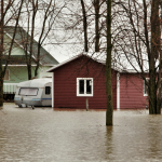 Restoring Home After the Flood A Guide to Water Damage Recovery