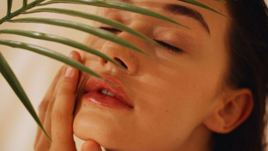 Revolutionary Skincare How Premium Natural Soaps Can Completely Transform Your Daily Beauty Regimen