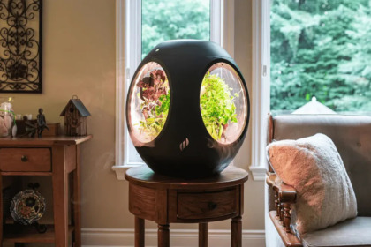Smart Tech for Plants and Home Spaces