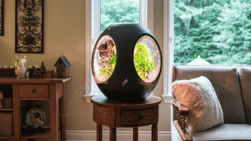 Smart Tech for Plants and Home Spaces