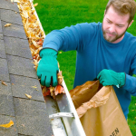 How Gutter Cleaning Supports Pest Prevention Around Your Home