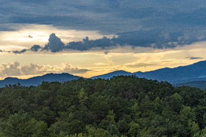 Savoring Every Stop on a Scenic Mountain Drive