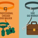 Leashed dogs walking with a professional dog walker in a Chicago city neighborhood