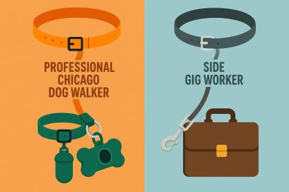 Leashed dogs walking with a professional dog walker in a Chicago city neighborhood