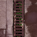 Image 1 of 5 Simple Benefits of Jet Blasting Blocked Drains