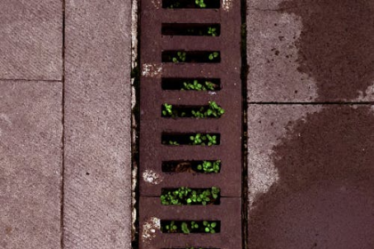 Image 1 of 5 Simple Benefits of Jet Blasting Blocked Drains