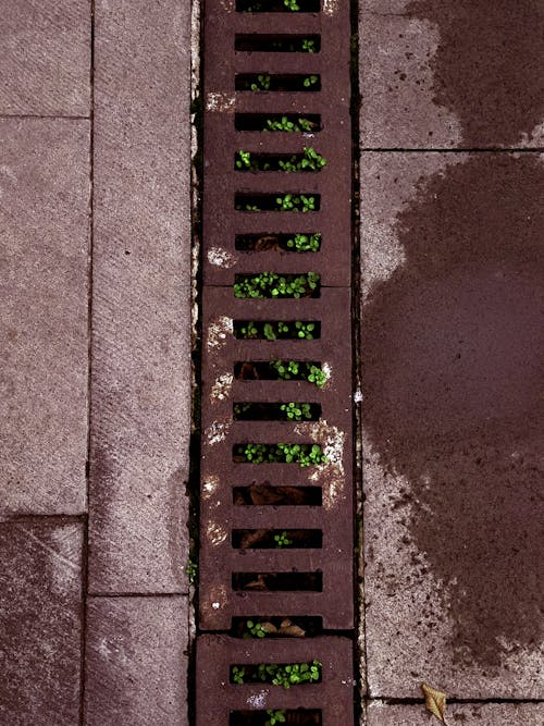 Image 1 of 5 Simple Benefits of Jet Blasting Blocked Drains